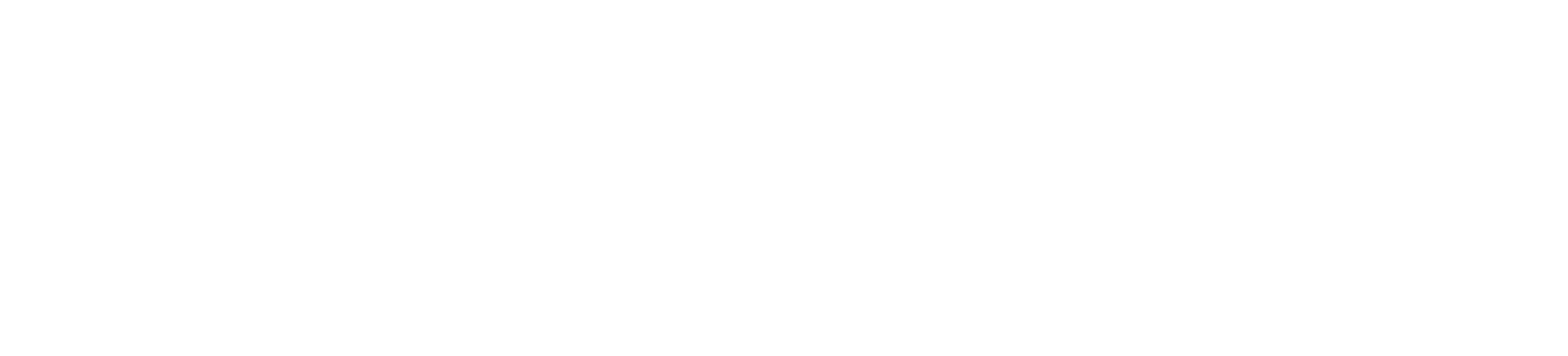 Smart Trips